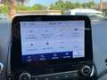 Ford EcoSport 1.5 ecoblue ST-Line s&s 100 CV Blu/Azzurro - thumbnail 14