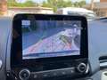 Ford EcoSport 1.5 ecoblue ST-Line s&s 100 CV Blu/Azzurro - thumbnail 13