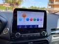 Ford EcoSport 1.5 ecoblue ST-Line s&s 100 CV Blu/Azzurro - thumbnail 15