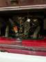 Volkswagen T1 Camper SO42 Rood - thumbnail 20