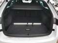 Skoda Octavia Combi 1.5 TSI DSG mHEV Sportline NAVI STANDHEIZUN Weiß - thumbnail 9