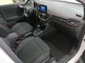 Ford Puma 125 cv ibrida Titanium-AUTOMATICA Bianco - thumbnail 14