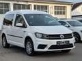 Volkswagen Caddy *L.KRAN FÜR ROLLSTUHL*STANDH*TEMPO*DSG Wit - thumbnail 3