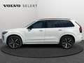 Volvo XC90 T8 Plus Dark / Hybride Blanco - thumbnail 23