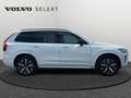 Volvo XC90 T8 Plus Dark / Hybride Blanco - thumbnail 7