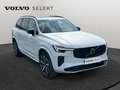 Volvo XC90 T8 Plus Dark / Hybride Blanco - thumbnail 28