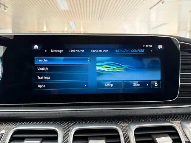 Mercedes-Benz GLS view 28