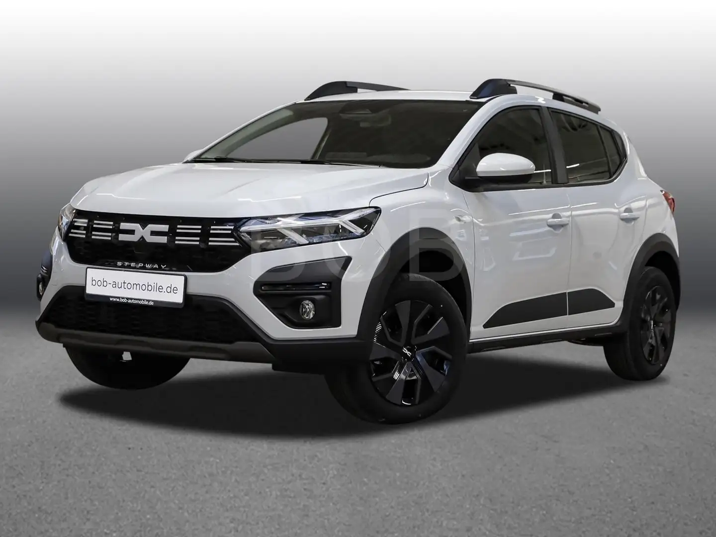 Dacia Sandero Stepway Expression ECO-G 100 SHZ PDC KLIMA Wit - 1