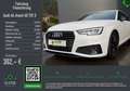 Audi A4 Avant 40 TDI qu,S line,AHK,Kame,Winterräder Weiß - thumbnail 1