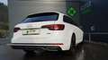 Audi A4 Avant 40 TDI qu,S line,AHK,Kame,Winterräder Weiß - thumbnail 13