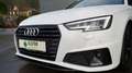 Audi A4 Avant 40 TDI qu,S line,AHK,Kame,Winterräder Weiß - thumbnail 3