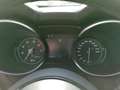 Alfa Romeo Stelvio Lusso Ti Q4 2.0 Turbo 16V EU6d-T Allrad AHK-el. kl Rot - thumbnail 13