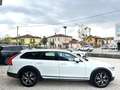 Volvo V90 Cross Country D4 AWD Geartronic Business Plus Bianco - thumbnail 14
