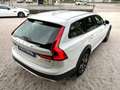 Volvo V90 Cross Country D4 AWD Geartronic Business Plus Bianco - thumbnail 13