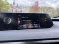 Lexus UX 300e Business 54 kWh | Led | Nieuwe Service & Garantie Blau - thumbnail 12