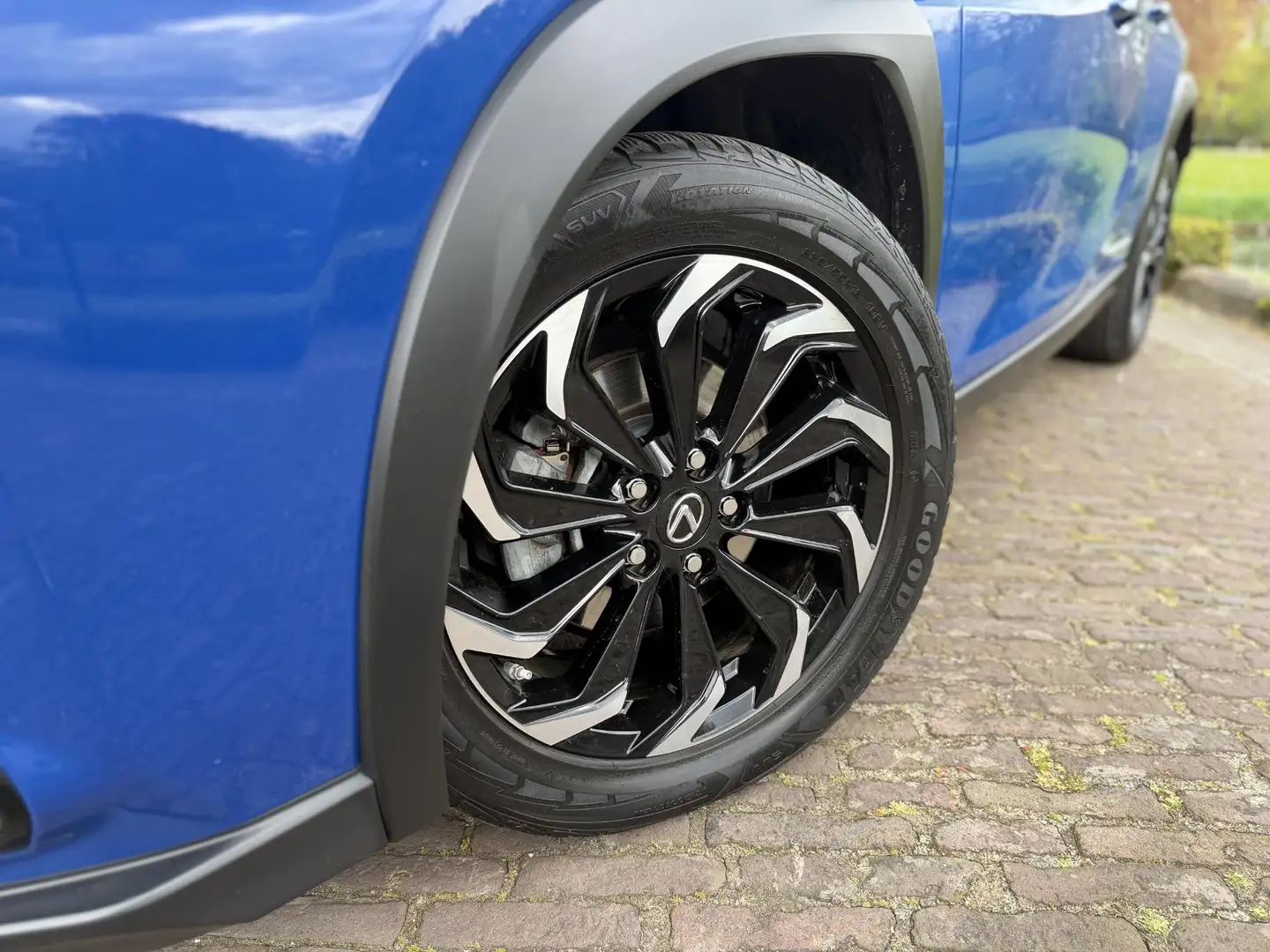 Lexus UX 300e Business 54 kWh | Led | Nieuwe Service & Garantie Blau - 2