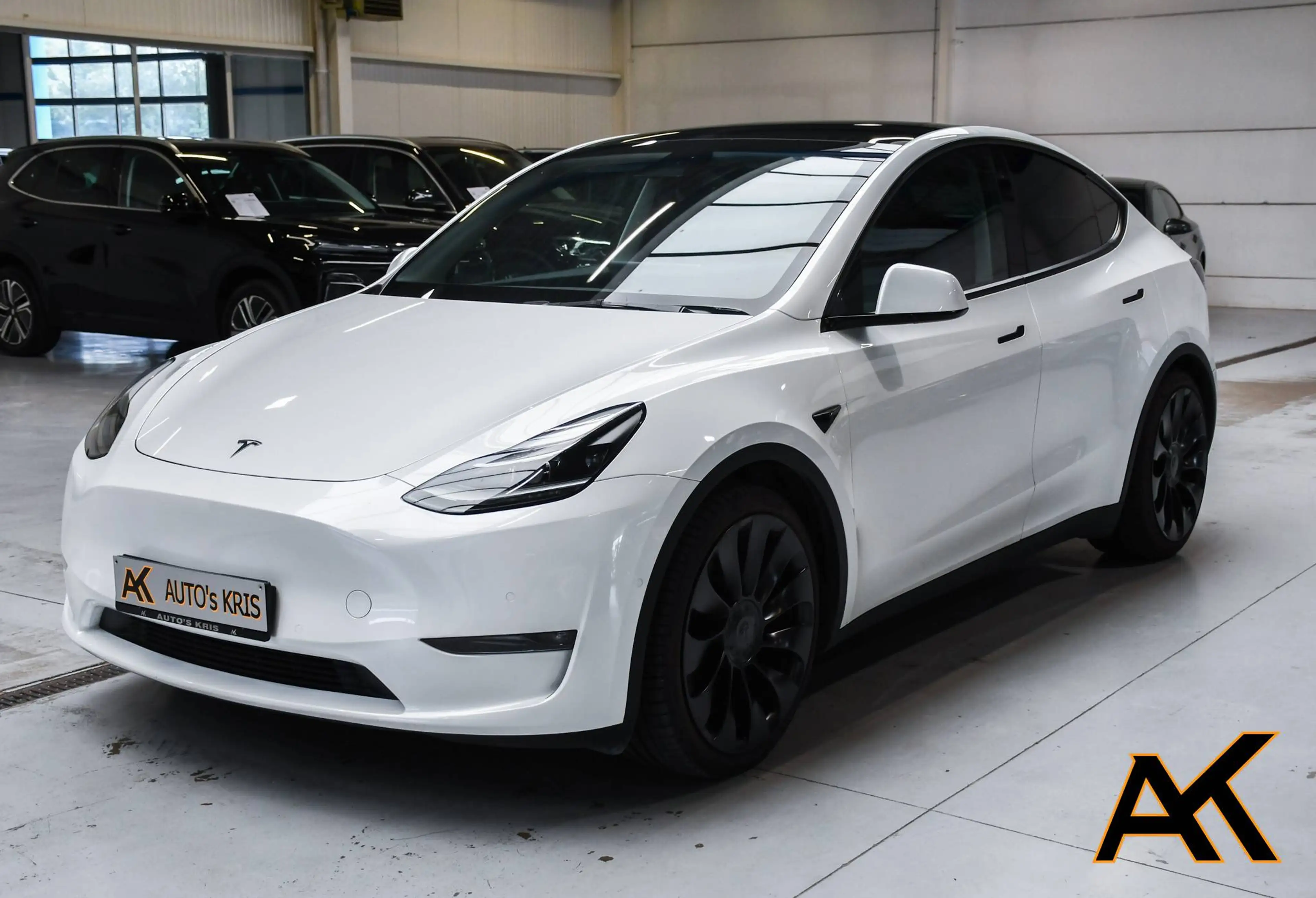 Tesla Model Y Model Y 72.5 kWh Dual Motor Performance (393 kW) - LEDER / PANORAMISCH DAK / NAVIGATIE / CAMERA / BLIS