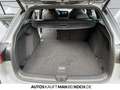 Volkswagen Golf Variant 1.5 eTSI DSG R-Line SideAssist RFK Gris - thumbnail 14