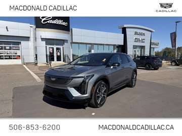 Premium Sport - Certified - $410 B/W