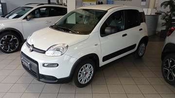Panda 1.0 firefly hybrid Street AUTOCARRO 4 POSTI