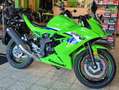 Kawasaki Ninja 125 Modelljahr 2026 Zöld - thumbnail 1
