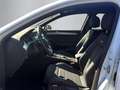 Volkswagen Passat Variant Business 2.0TDI DSG 4M +R-LINE+AH Weiß - thumbnail 6