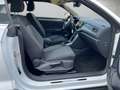 Volkswagen T-Roc Cabriolet 1.0 TSI Active *Kamera*LED*ACC* Bianco - thumbnail 14