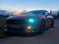Ford Mustang Mustang Cabrio 5.0 Ti-VCT V8 Aut. GT Rot - thumbnail 19