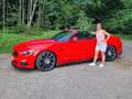 Ford Mustang Mustang Cabrio 5.0 Ti-VCT V8 Aut. GT Rot - thumbnail 20