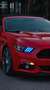 Ford Mustang Mustang Cabrio 5.0 Ti-VCT V8 Aut. GT Rot - thumbnail 8