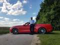 Ford Mustang Mustang Cabrio 5.0 Ti-VCT V8 Aut. GT Rot - thumbnail 2