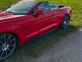 Ford Mustang Mustang Cabrio 5.0 Ti-VCT V8 Aut. GT Rot - thumbnail 13