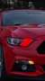 Ford Mustang Mustang Cabrio 5.0 Ti-VCT V8 Aut. GT Rot - thumbnail 7