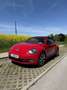 Volkswagen Beetle Cabrio 2,0 TDI Sport DSG - thumbnail 3