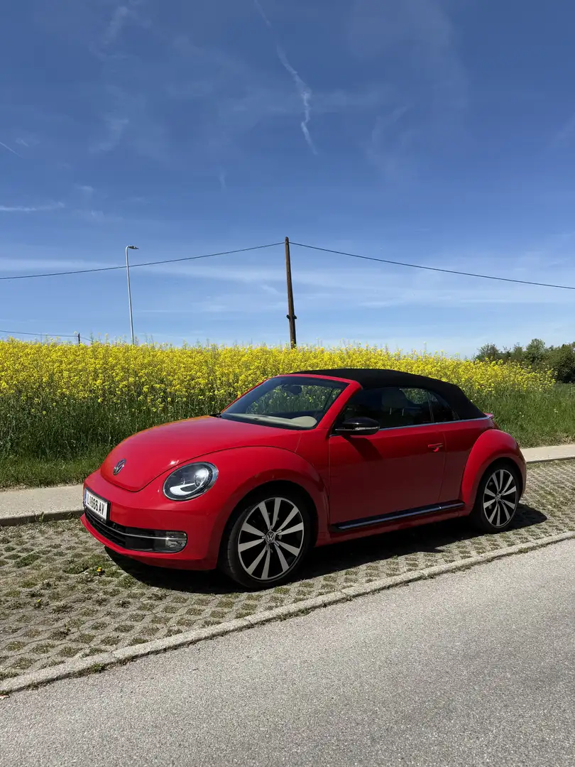 Volkswagen Beetle Cabrio 2,0 TDI Sport DSG - 2