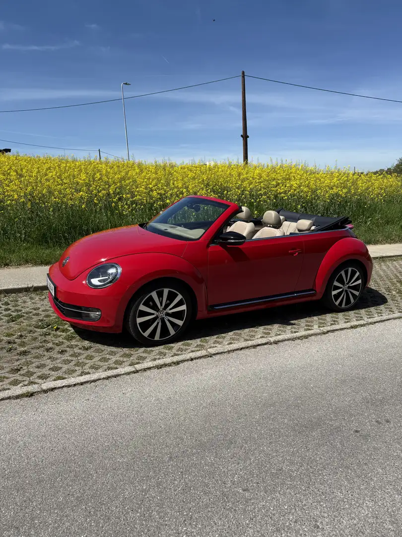 Volkswagen Beetle Cabrio 2,0 TDI Sport DSG - 1