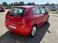 Fiat Grande Punto Grande Punto 1.4 Starjet 16V 5 porte Dynamic Rood - thumbnail 4
