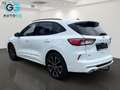 Ford Kuga 2,0 EcoBlue AWD ST-Line Aut. Weiß - thumbnail 5