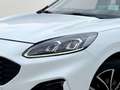 Ford Kuga 2,0 EcoBlue AWD ST-Line Aut. Weiß - thumbnail 7
