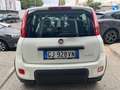 Fiat Panda Panda III 2022 1.0 firefly hybrid City Life s Blanc - thumbnail 4