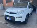 Fiat Panda Panda III 2022 1.0 firefly hybrid City Life s Bianco - thumbnail 3