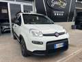 Fiat Panda Panda III 2022 1.0 firefly hybrid City Life s Blanc - thumbnail 1
