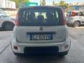 Fiat Panda Panda III 2022 1.0 firefly hybrid City Life s Bianco - thumbnail 5
