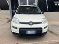 Fiat Panda Panda III 2022 1.0 firefly hybrid City Life s Blanc - thumbnail 2