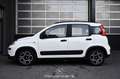 Fiat Panda 1.0 Mild Hybrid City Life Pickerl NEU Weiß - thumbnail 6