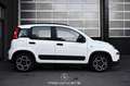 Fiat Panda 1.0 Mild Hybrid City Life Pickerl NEU Weiß - thumbnail 5