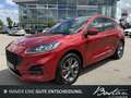 Ford Kuga 2.5 HYBRID ST-LINE X/PANORAMA/KAMERA/1.HAND Rood - thumbnail 1