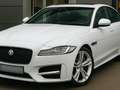 Jaguar XF XF 20d Aut. R-Sport Ingenium Edition Blanc - thumbnail 1