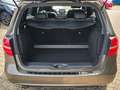 Mercedes-Benz B 250 /Bi-Xenon/PANO/AUTOMATIK/LEDER/ASYSST-PLUS Grau - thumbnail 5