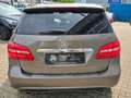 Mercedes-Benz B 250 /Bi-Xenon/PANO/AUTOMATIK/LEDER/ASYSST-PLUS Grau - thumbnail 6